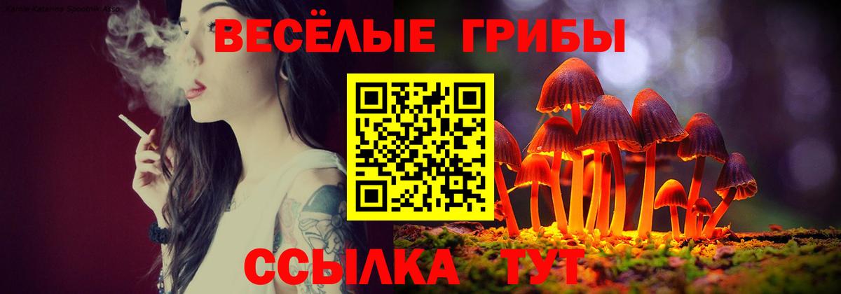 Муравленко  где продают наркотики  Псилоцибиновые грибы мицелий  Вход с VPN  Галлюциногенные грибы мухоморы 